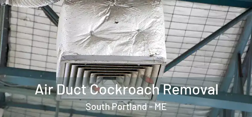  Air Duct Cockroach Removal South Portland - ME