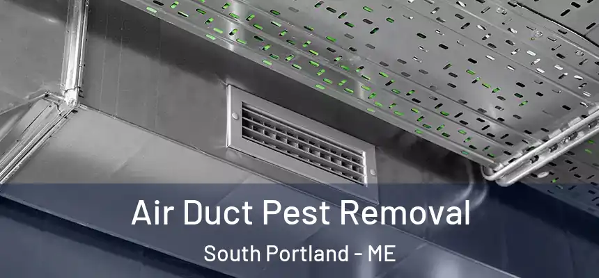  Air Duct Pest Removal South Portland - ME