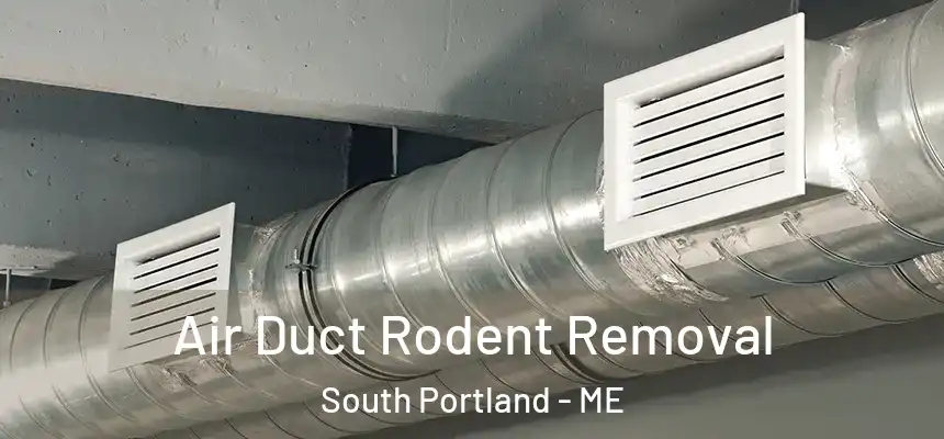  Air Duct Rodent Removal South Portland - ME