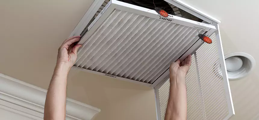 Preventive Cockroach-Proofing for Ducts in South Portland