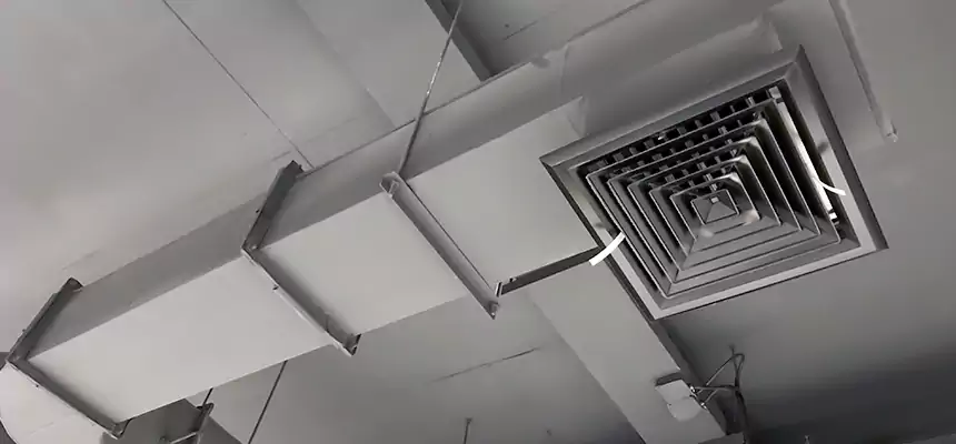 Our Pest Removal From Ducts Services in South Portland, ME