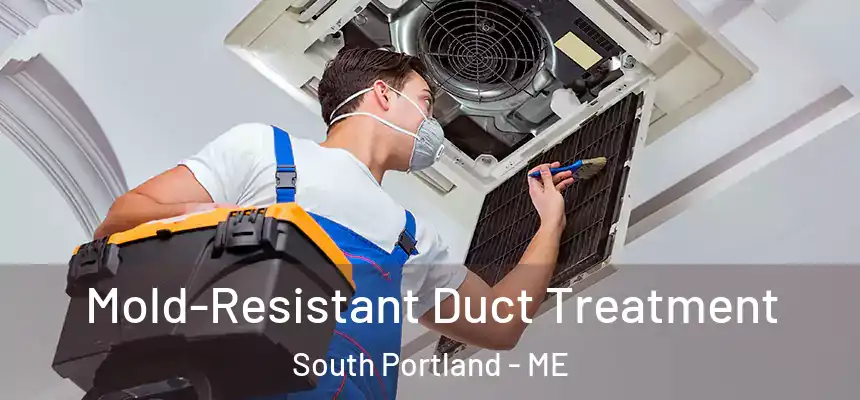  Mold-Resistant Duct Treatment South Portland - ME