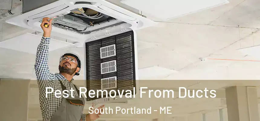  Pest Removal From Ducts South Portland - ME