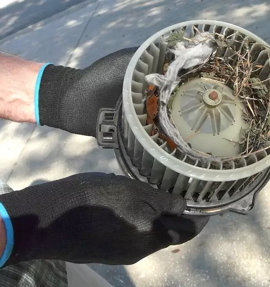 About Air Duct Rat Removal in South Portland, ME