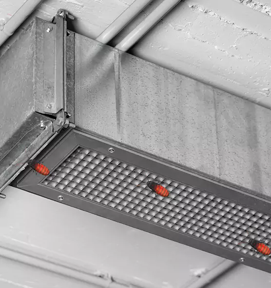 Affordable Insect Removal from Air Ducts in South Portland, ME