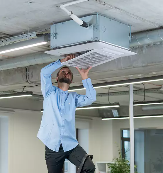 Advanced Rodent Droppings In Vents in South Portland, ME