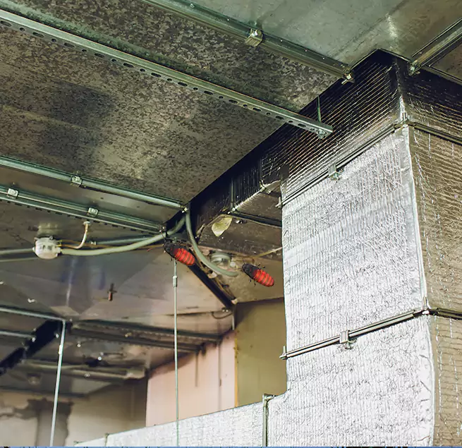 Why Homeowners & Businesses Trust Us in South Portland, ME?