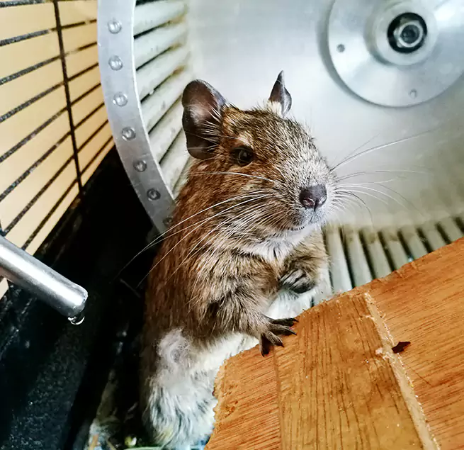 Why Homeowners & Businesses Trust Us South Portland, ME